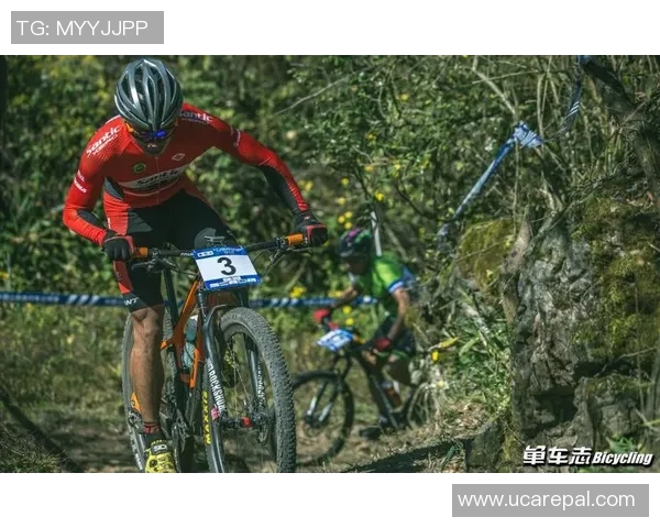 重庆乒乓球队的蜕变与成长亚运会背后的奋斗故事与新篇章