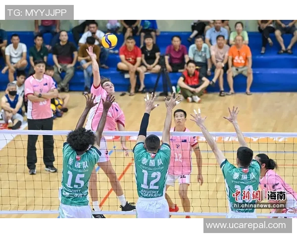 重庆排球队的速度之谜：排球巨献带你领略竞技魅力与团队精神