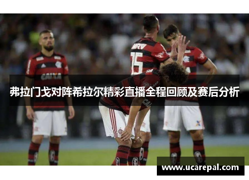 弗拉门戈对阵希拉尔精彩直播全程回顾及赛后分析